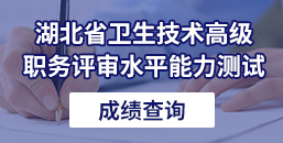 湖北省卫生技术高级职务评审水平能力测试成绩查询